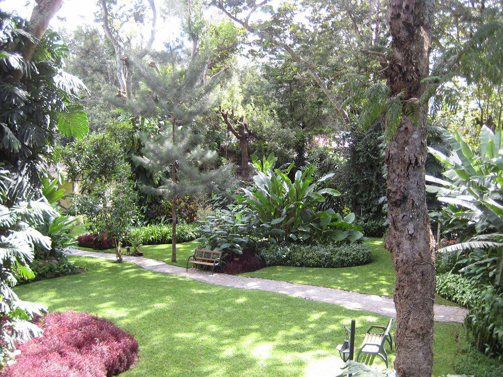 אנטיגואה גואטמלה Hotel Las Farolas מראה חיצוני תמונה